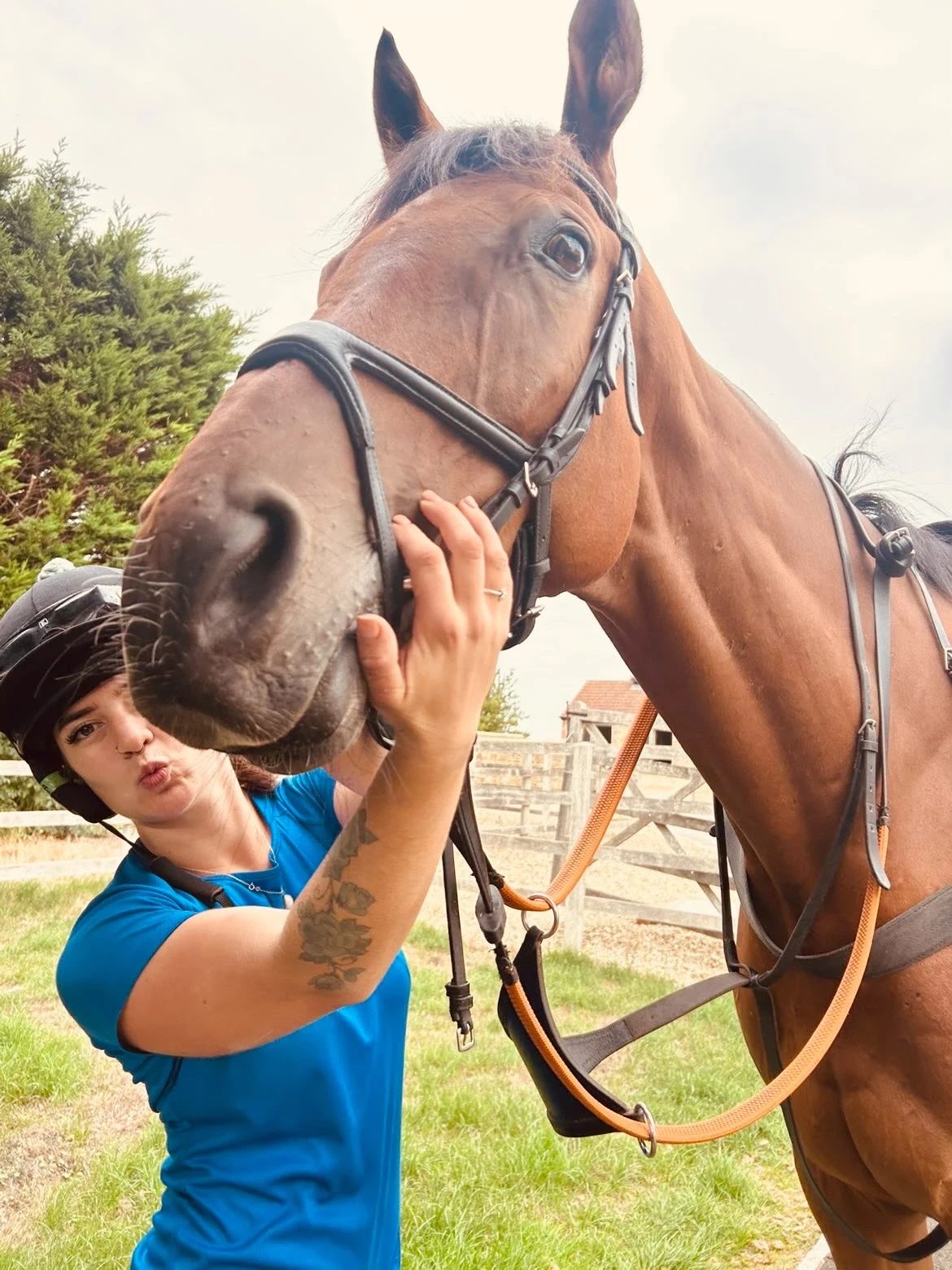 Blu with a bay horse at the yard