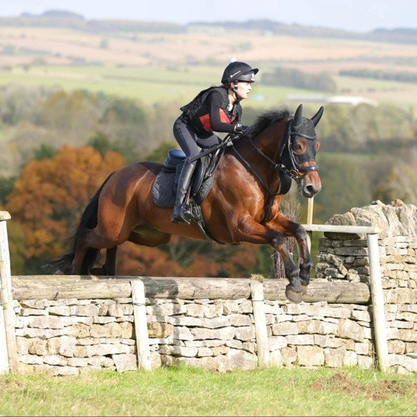 Castlemore Bobby jumping a stone wall
