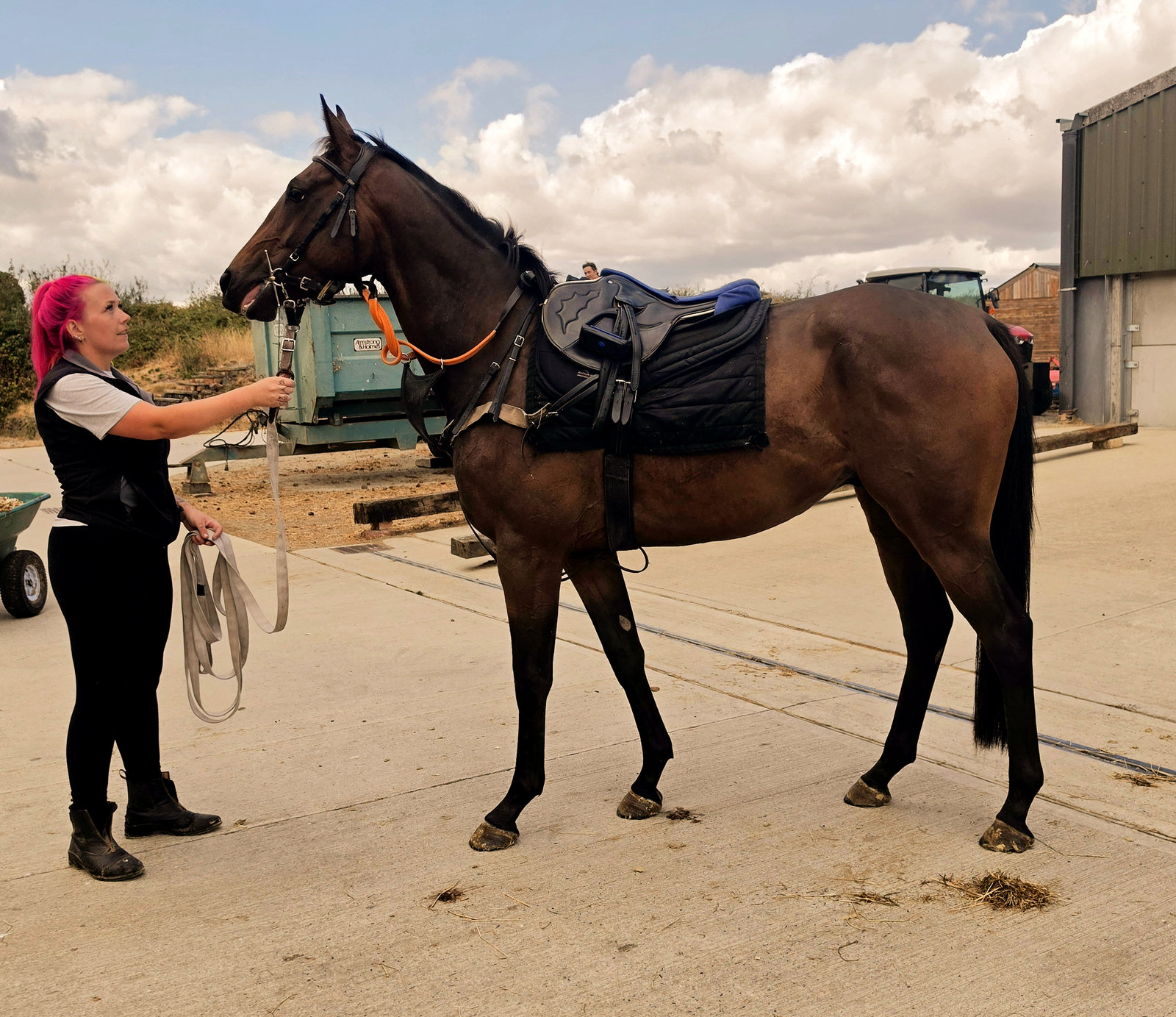 Harry, saddled up in the yard