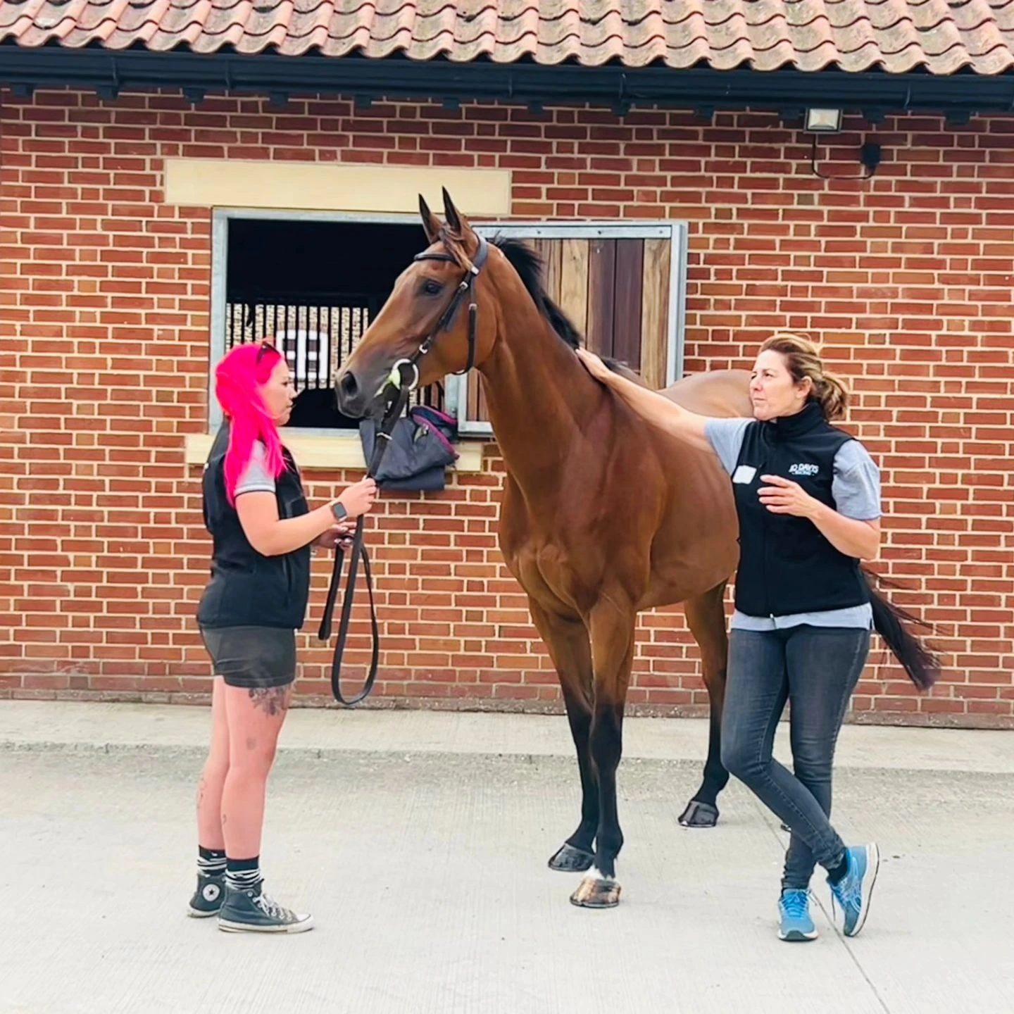 Jo Davis with one of her horses outside the stables at Common Farm