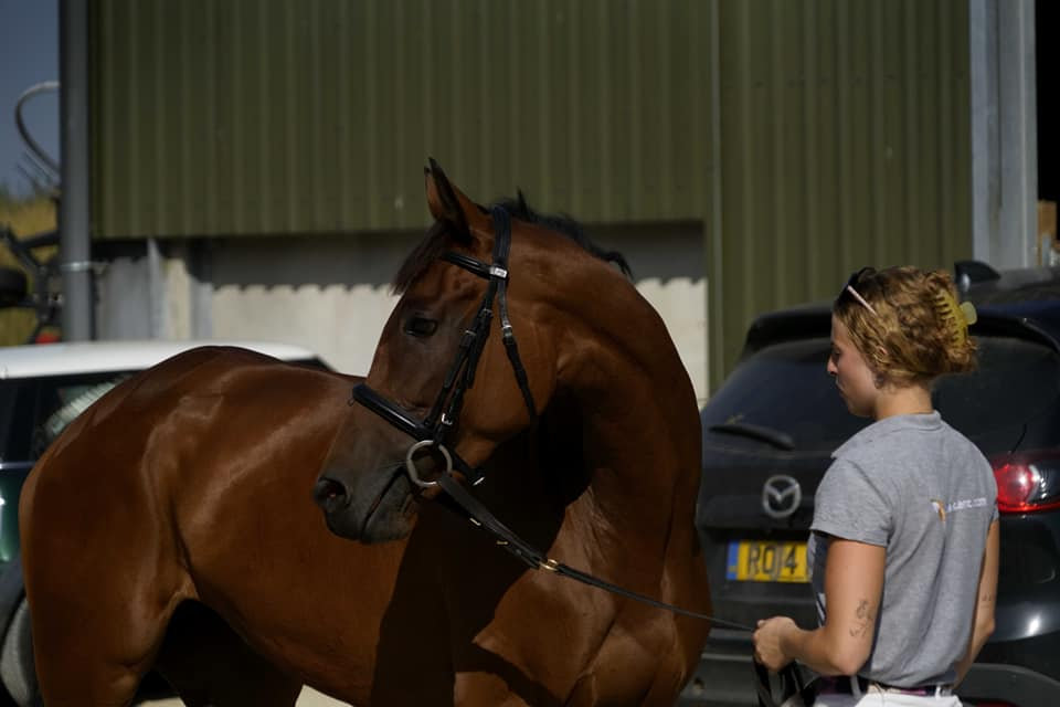 Jolie Baie with one of the yard team