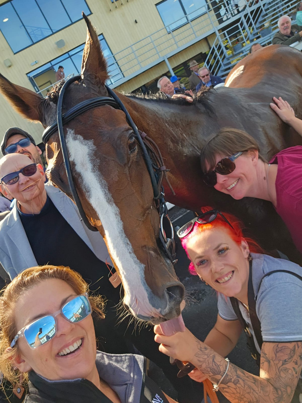 Owners taking a selfie with one of the horses